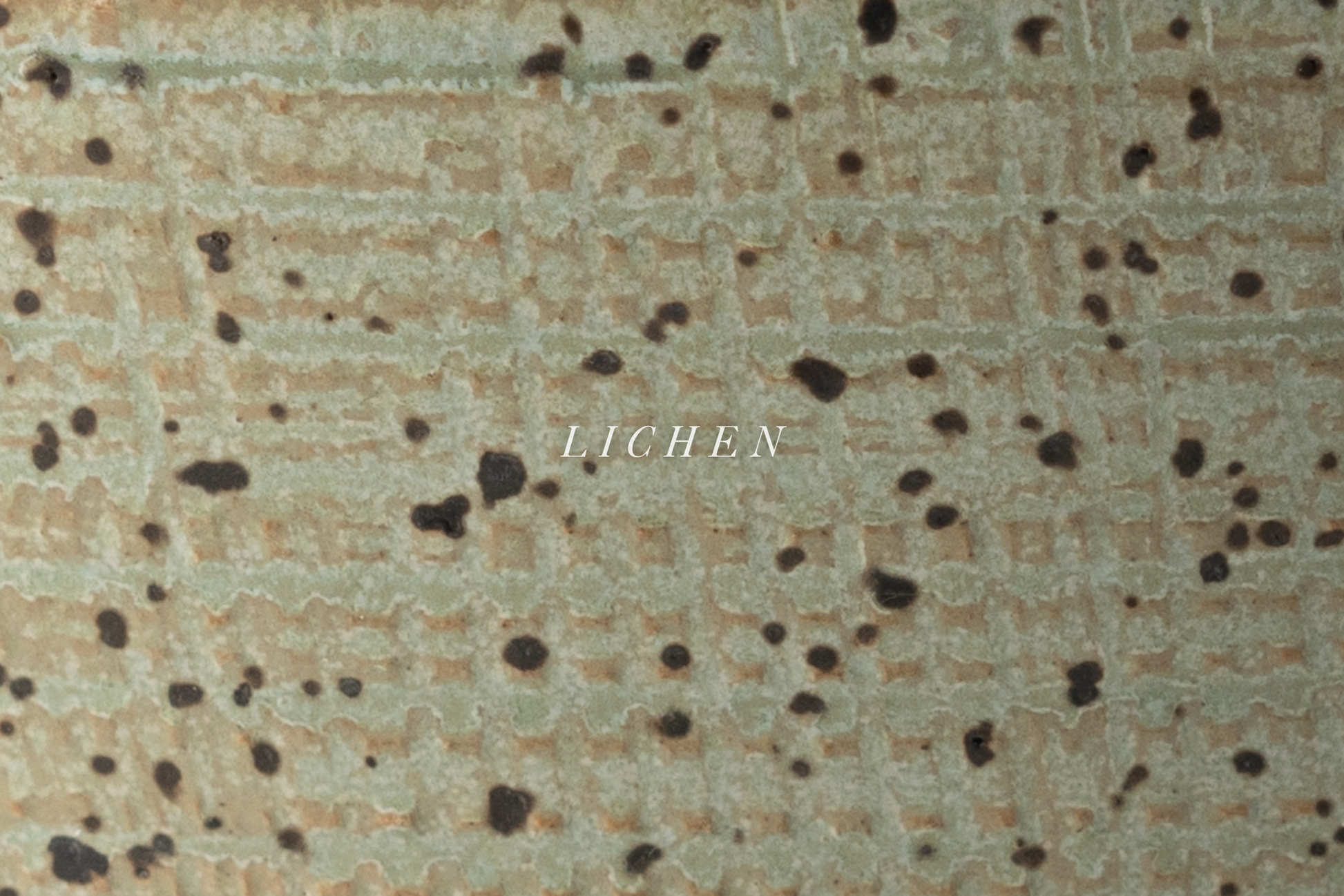 Lichen glaze by MK Clayworks – an organic, earthy green ceramic glaze with subtle variations, inspired by nature’s textures. Handmade pottery in Brevard, NC.